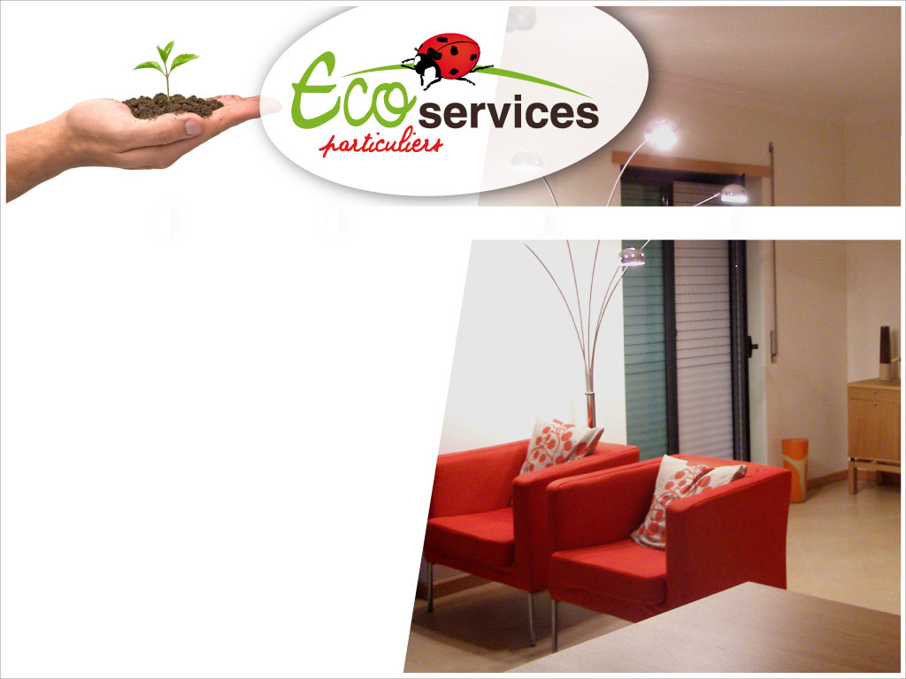 Eco-services particuliers : ménage, repassage, jardinage, vitrerie à Dijon
