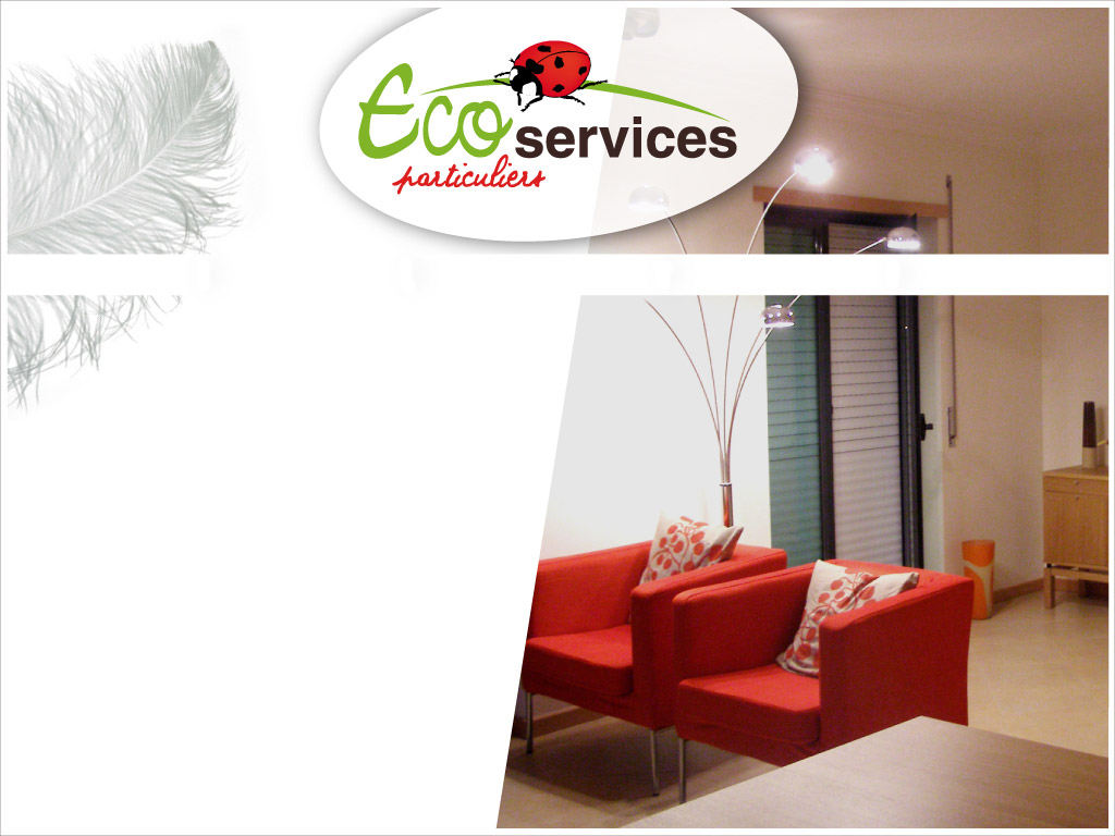 Eco-services particuliers : ménage, repassage, jardinage, vitrerie à Dijon